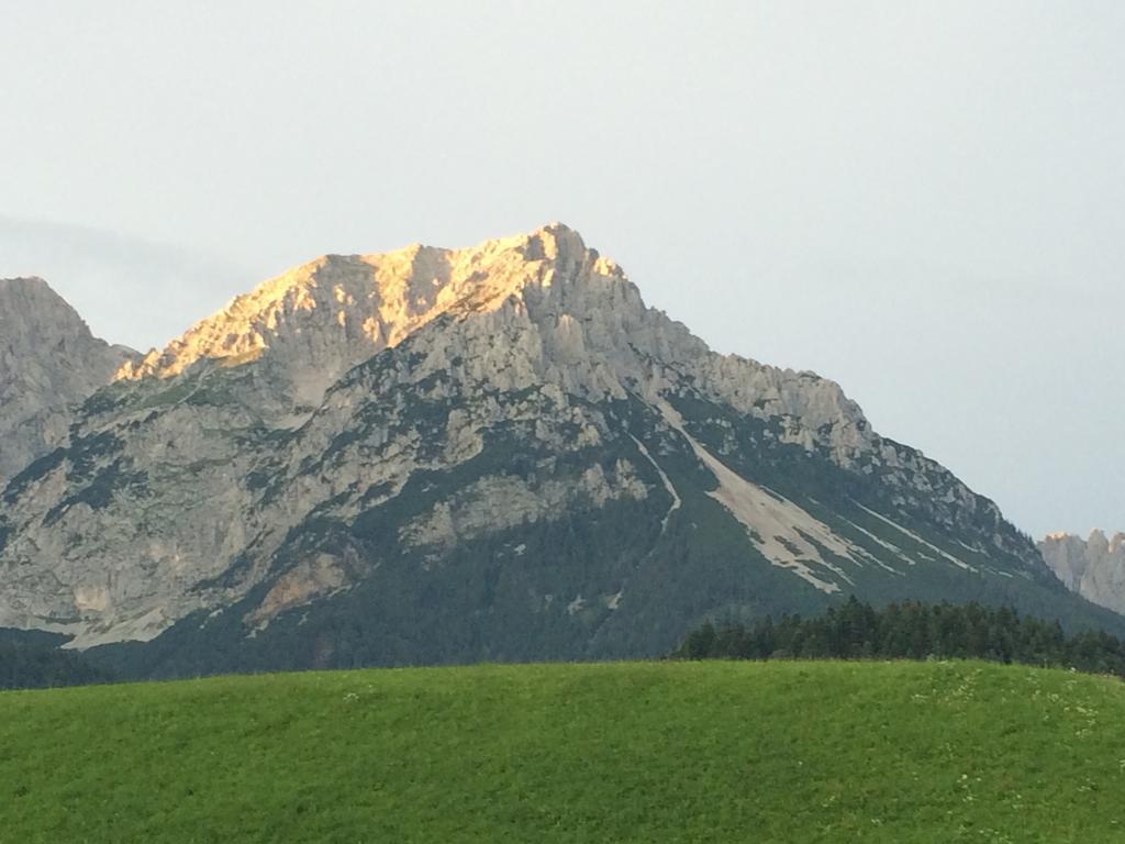 Appartementhaus Zum Schneider Scheffau am Wilden Kaiser Eksteriør bilde